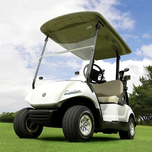 Buggies Electric Golf Cart