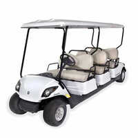 Battery Operated Golf Cart Rental Service