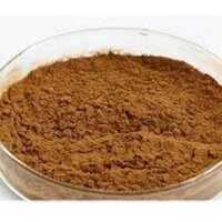 Forskolin 20%