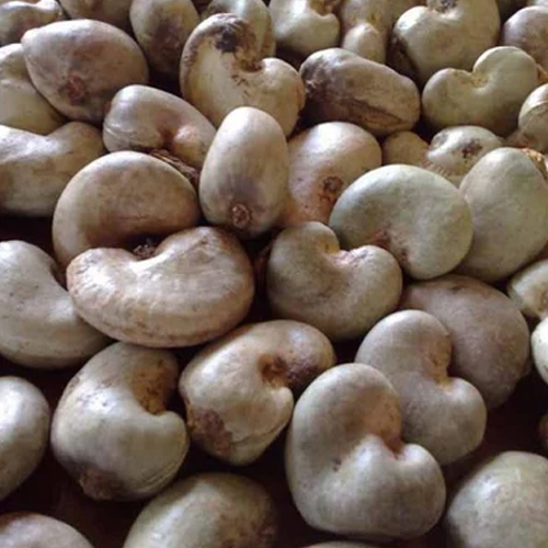 W240 Raw Cashew Nuts