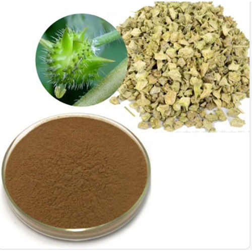 Tribulus Extract Powder Grade: First Class