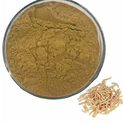 Shatavari Extract Powder