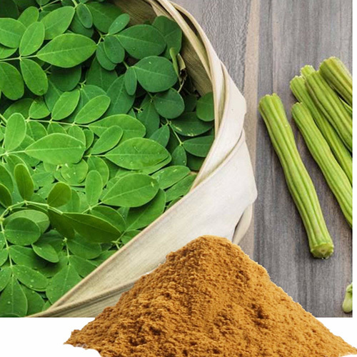 Moringa Extract Powder
