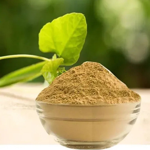 Cissus Extract Powder