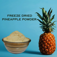 Freeze Dried Pineapple Powder