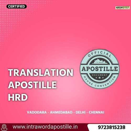 ARABIC INTERPRETER SERVICE