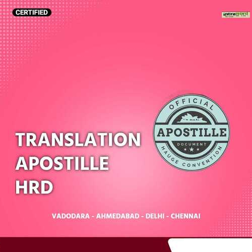 Arabic Interpreter Service - Certified Arabic Translator for Professional Business Meetings | English to Arabic & Arabic to English Interpretation