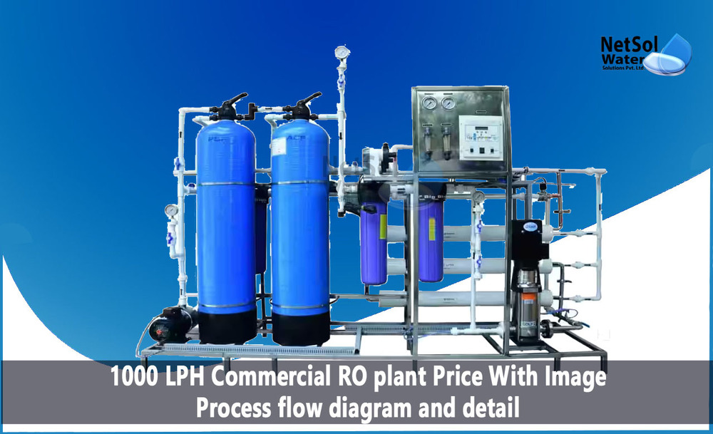 1000 LPH RO System
