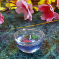Gw Creations Unscented Gel Bowl Butterfly Candle - Color: Different Available