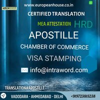 KOREAN INTERPRETER SERVICE