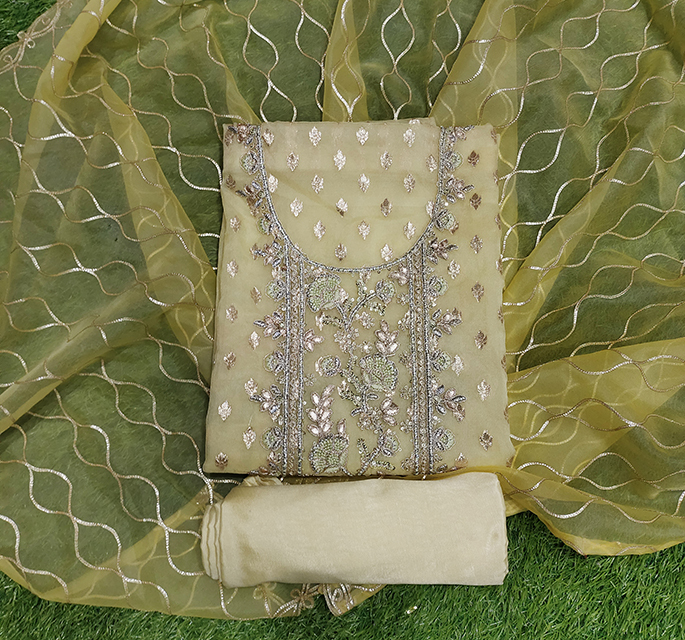 New Orgenza Dressmaterial