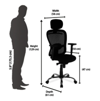 Alba High Back Chair