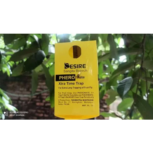 Yellow Melon Fly Insect Trap