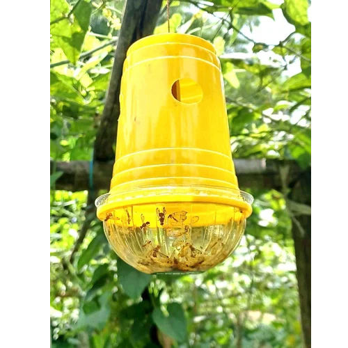 Fruit Fly Trap