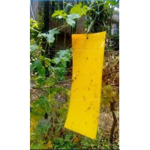 Agricultural Yellow Sticky Trap