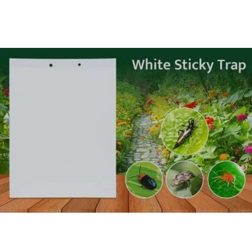 Agricultural White Sticky Insect Trap