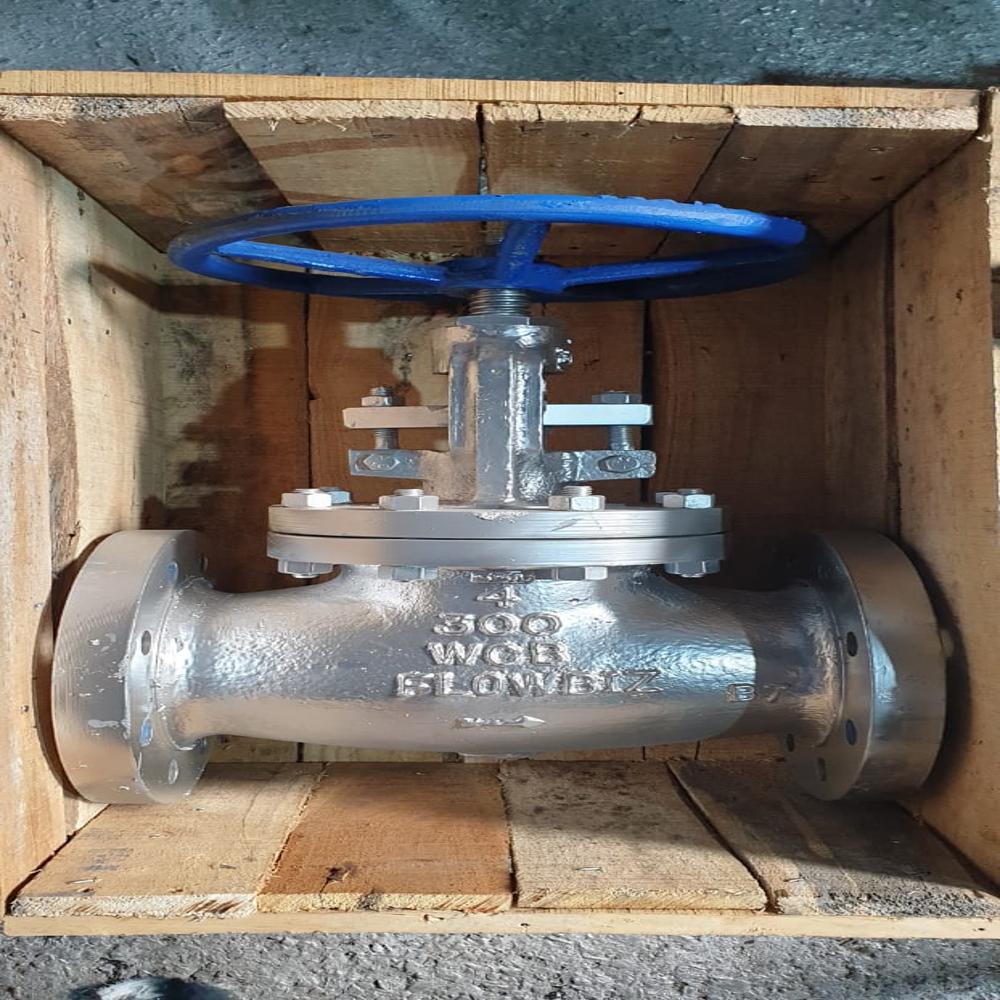 Ss Globe Valve - Color: Silver