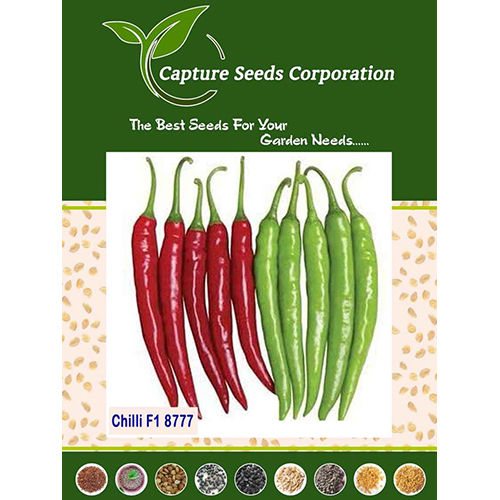 Common F1 -8777 Chilli Seed