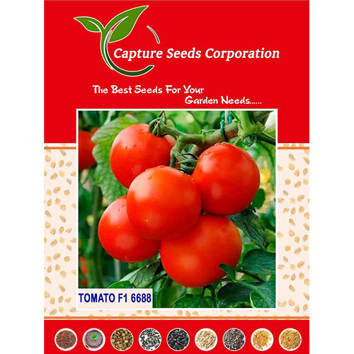 F1-6688 Tomato Seed - Cultivation Type: Common