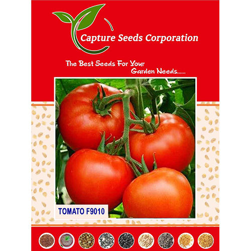 F9010 Tomato Seed