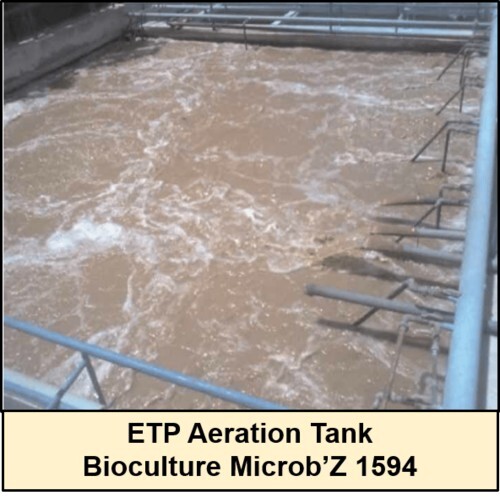 Bioculture for ETP Aerobic
