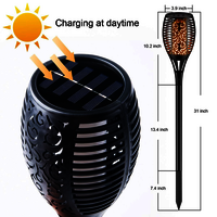 FLAME SOLAR LIGHT