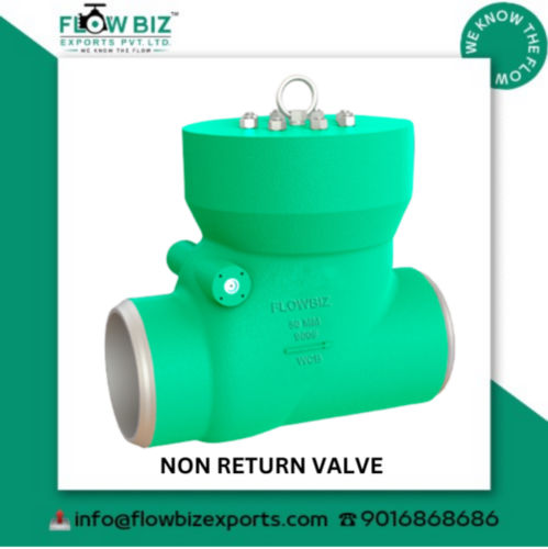 Non Return Valve Manufacturer In Mehsana