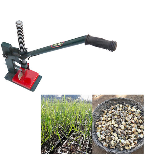 Manual Sugarcane Bud Chipper Machine