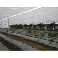Urban Farming Outdoor Shade Net - Advantage: High Quality