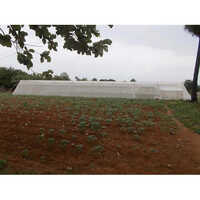 Shade Net House - Advantage: High Quality
