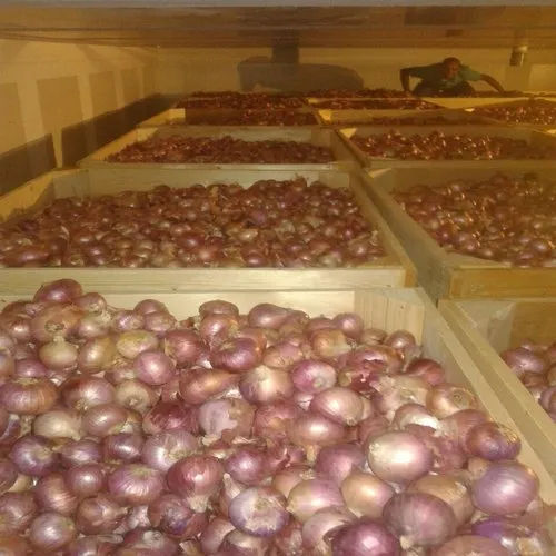 Vegetable Cold Storage Room - Size: As Per Requirement