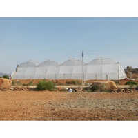 Agriculture Green Polyhouse - Base Material: Pp