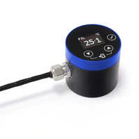 Pyrosigma Miniature Pyrometer With Built-in Display - Stainless Steel, 24mm X 70mm, 0-800â°c, Oled Display, Adjustable Emissivity, Ip65