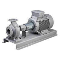 Thermic Fluid Pumps - Cast Iron Design, 150mâ³/h Capacity, 16 Bar Pressure, 300 Â°c Temperature, Horizontal Style | High Heat Efficiency, 10-year Lifespan