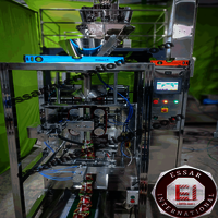 14 head with Servo bagger Packing Machine