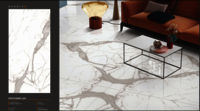 FLOOR TILES 800X1600 (GLOSSY FINISH)