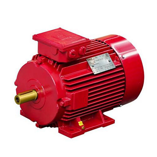 IE2 High Efficiency Standard Motors
