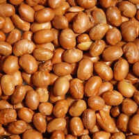 Soya Nuts