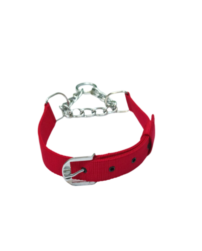 Choke Collars Dogs at Best Price in Pune | En-route Impex