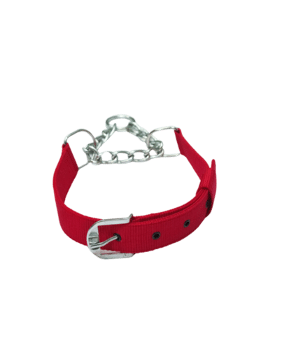 Dog Choke Collar