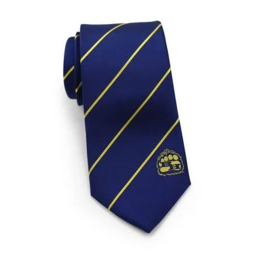 Institutional Corporate Ties