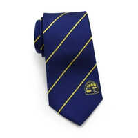 Institutional Corporate Ties - Polyester Material, Different Sizes Available | Blue Printed Neck Ties