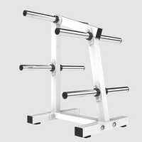 V-011 Weight Plate Rack - Grade: Commercial Use