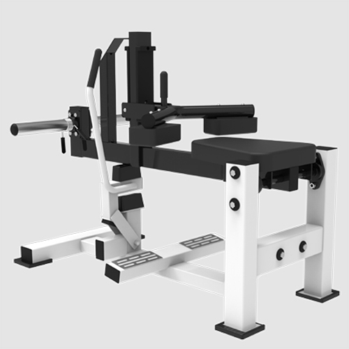 V-019 Seated Calf
