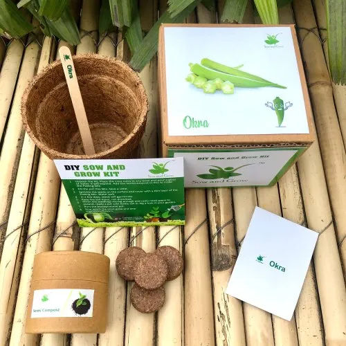 Bhindi Okra Seed Starter Gardening Grow Kit