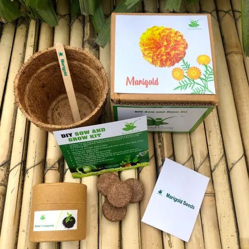 Marigold Seed Starter Gardening Grow Kit