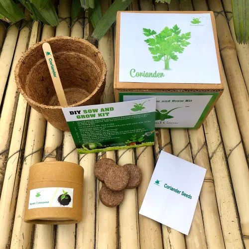 DIY Coriander Dhaniya Gardening Seed Starter Grow Kit