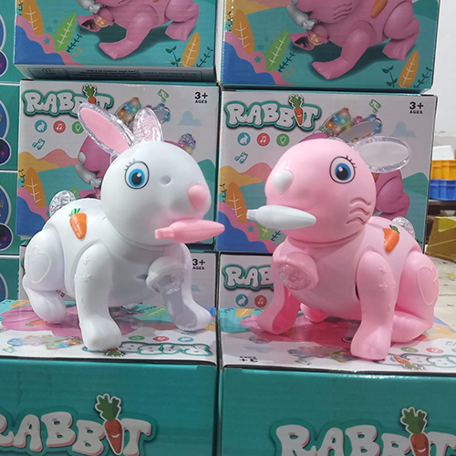 Soft Sound Jumping Movements Rabbit