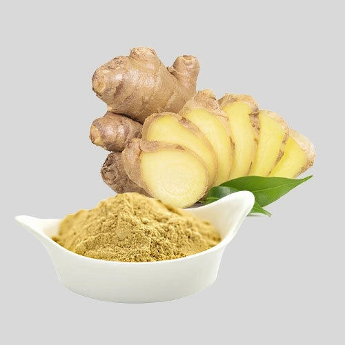 Dehydrated Ginger powder