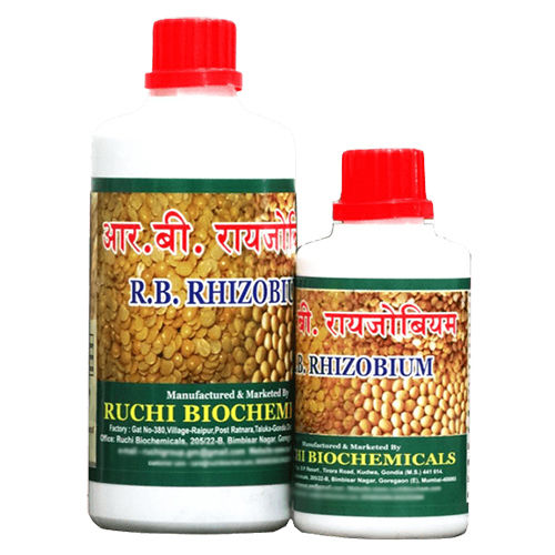 Rhizobium Bio Fertilizer Powder